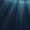 Deep Sea - Hanah Rahmatullah